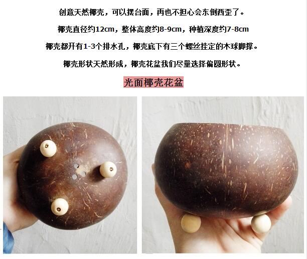 椰子壳花盆内容图.jpg